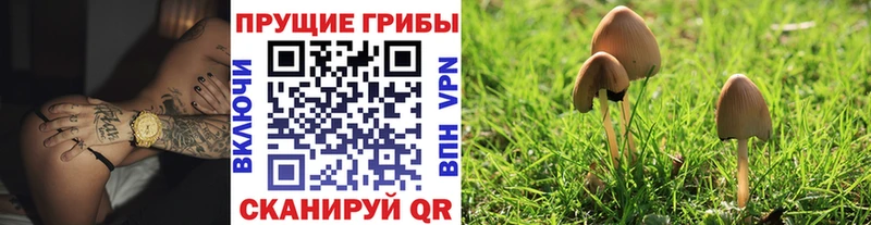 Галлюциногенные грибы мухоморы  закладка  Вуктыл 
